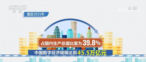 電子商務(wù)持續(xù)繁榮，服務(wù)業(yè)數(shù)字化按下快進鍵